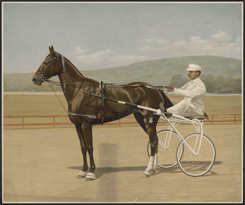 [Harness race horse and rider] | Free Photo - rawpixel