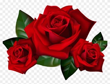 Harp Clipart Rose Wallpaper - Roses Transparent Png