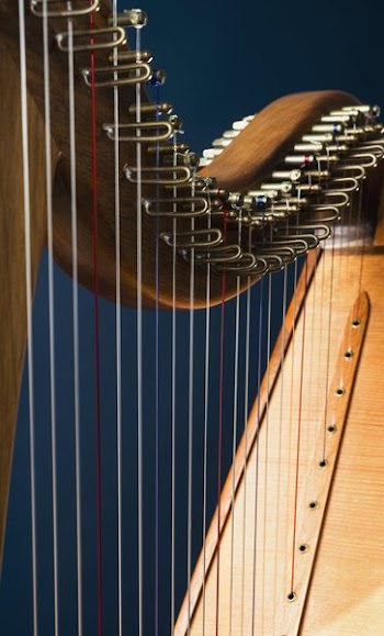 Harp Instrument Close Up