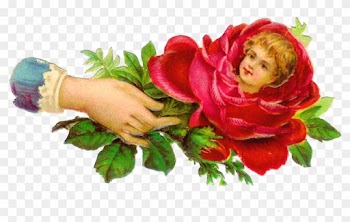 Harrington - Hand With Rose Png