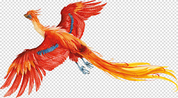Harry Potter PNG Images Transparent Free Download | PNGMart.com