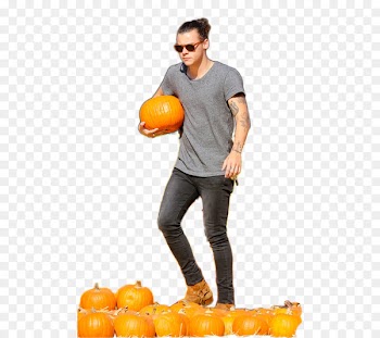 Harry Styles Vegetarian cuisine Emoji - others 