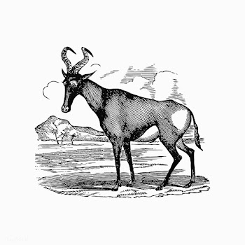 Hartebeest shade drawing | Free stock vector - 562515