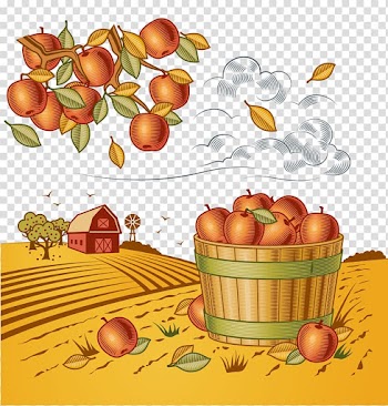 Harvest , Autumn harvest fruit transparent background PNG clipart