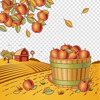 Harvest , Autumn harvest fruit transparent background PNG clipart