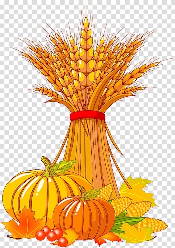 Harvest festival , autumn transparent background PNG clipart