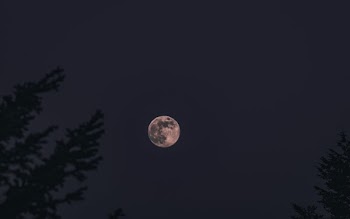Harvest Moon In Night Sky