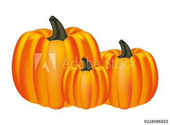 harvest pumpkins fresh on white background