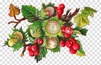 Harvest Time s, bunch of red berry fruit illustration transparent background PNG clipart