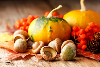 Harvested pumpkins with fall leaves