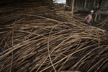 Harvested rattan, agricultural background. Free | Free Photo - rawpixel