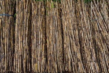 Harvested rattan, agricultural background. Free | Free Photo - rawpixel