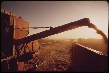 Harvesting barley grown in the Imperial | Free Photo - rawpixel