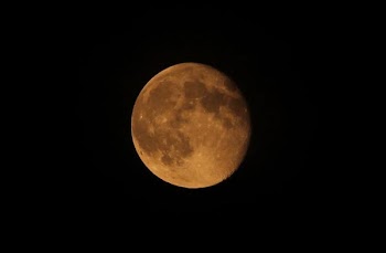 harvestmoon.JPG
