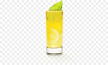 Harvey Wallbanger, Limeade, Fuzzy Navel, Drink, Cocktail Garnish PNG