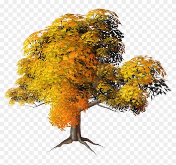 Has Found 20 Trees With Transparent Background - Fall Trees Png