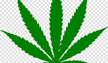 Hash, Marihuana & Hemp Museum Medical cannabis 420 Day Cannabis smoking, cannabis transparent background PNG clipart