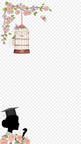 Hashtag Instagram Snapchat Tagged - graduation element background 