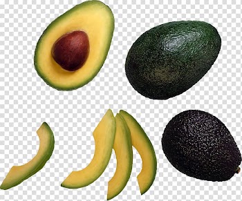Hass avocado Food Smoothie Fruit Vegetable, avocado transparent background PNG clipart