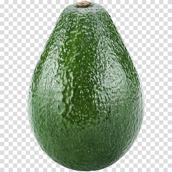 Hass avocado Fruit Guacamole Uruapan Food, avocado transparent background PNG clipart