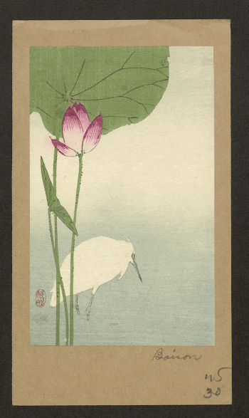 Hasu ni shirasagi. Original from the Library | Free Photo - rawpixel