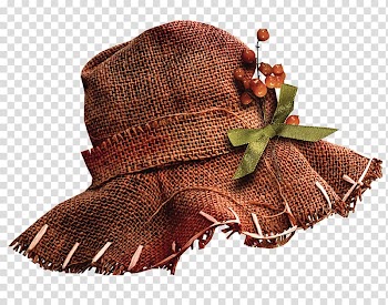 Hat , Hat transparent background PNG clipart