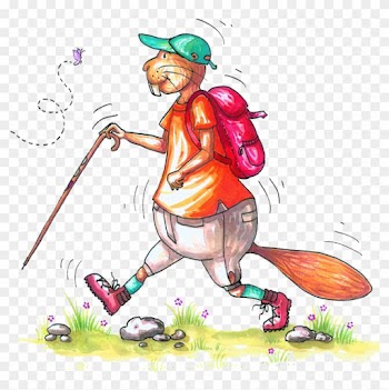 Hausen Soll Für Die Schönheiten Und Besonderheiten - Illustration