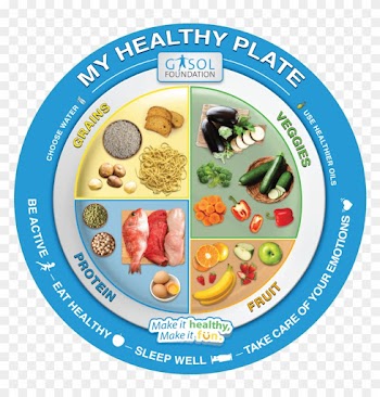 Having A Clear Understanding Of Healthy Eating And - Healthy Plate Of Food