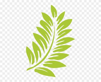Hawaii Clipart Leaf - Transparent Background Leaves Clipart