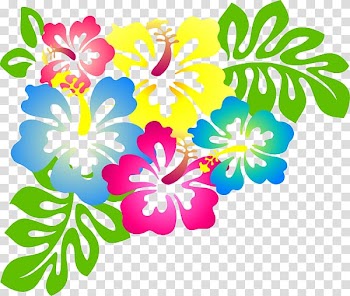 Hawaii Flower , flower transparent background PNG clipart