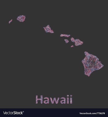 Hawaii Islands line art map vector image