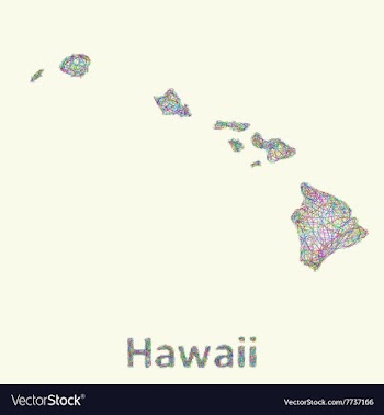 Hawaii line art map vector image