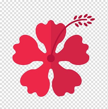 Hawaii Pink flowers, Hawaii pink flowers transparent background PNG clipart