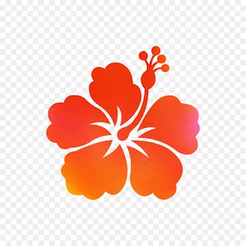 Hawaii Shoeblackplant Wall decal Sticker -  