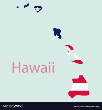 Hawaii state of america with map flag print on vector image