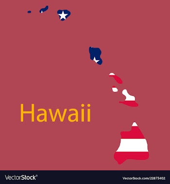 Hawaii state of america with map flag print on vector image