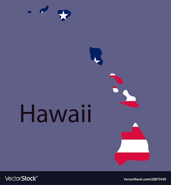 Hawaii state of america with map flag print on vector image