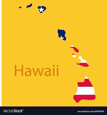 Hawaii state of america with map flag print on vector image