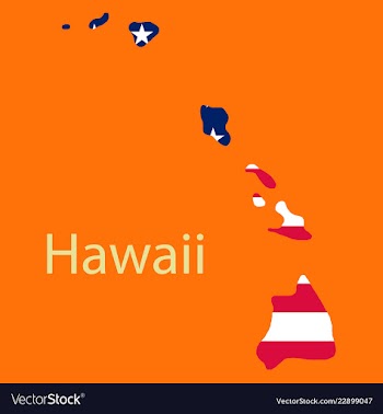 Hawaii state of america with map flag print on vector image