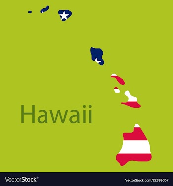 Hawaii state of america with map flag print on vector image