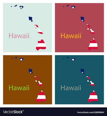 Hawaii state of america with map flag print on vector image