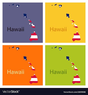 Hawaii state of america with map flag print on vector image