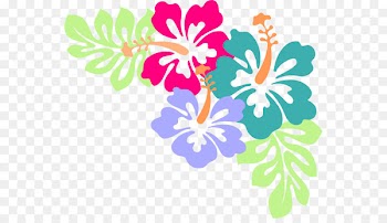 Hawaiian Flower Clip art - peach flowers 