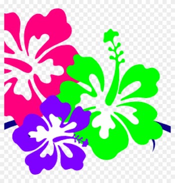 Hawaiian Flower Clipart Hawaiian Flower Clip Art Borders - Hawaii Flower