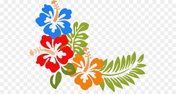 hawaiian hibiscus hibiscus flower plant leaf