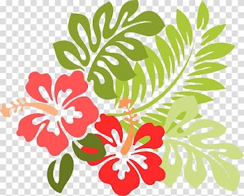 Hawaiian hibiscus , Tropical Line transparent background PNG clipart