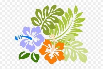 Hawaiin Flowers - Clipart Library - Hawaiian Flower Png
