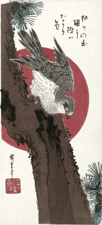 Hawk and red sun, vintage | Free Photo Illustration - rawpixel