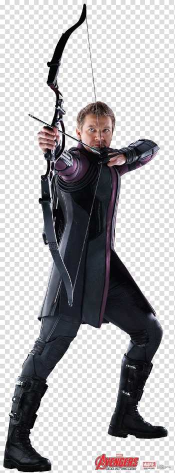 Hawkeye PNG High-Quality Image