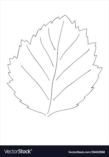 hawthorn leaf in doodle style